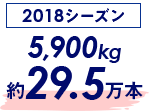 2018시즌 5,900kg